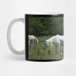 Wild Horse Mug